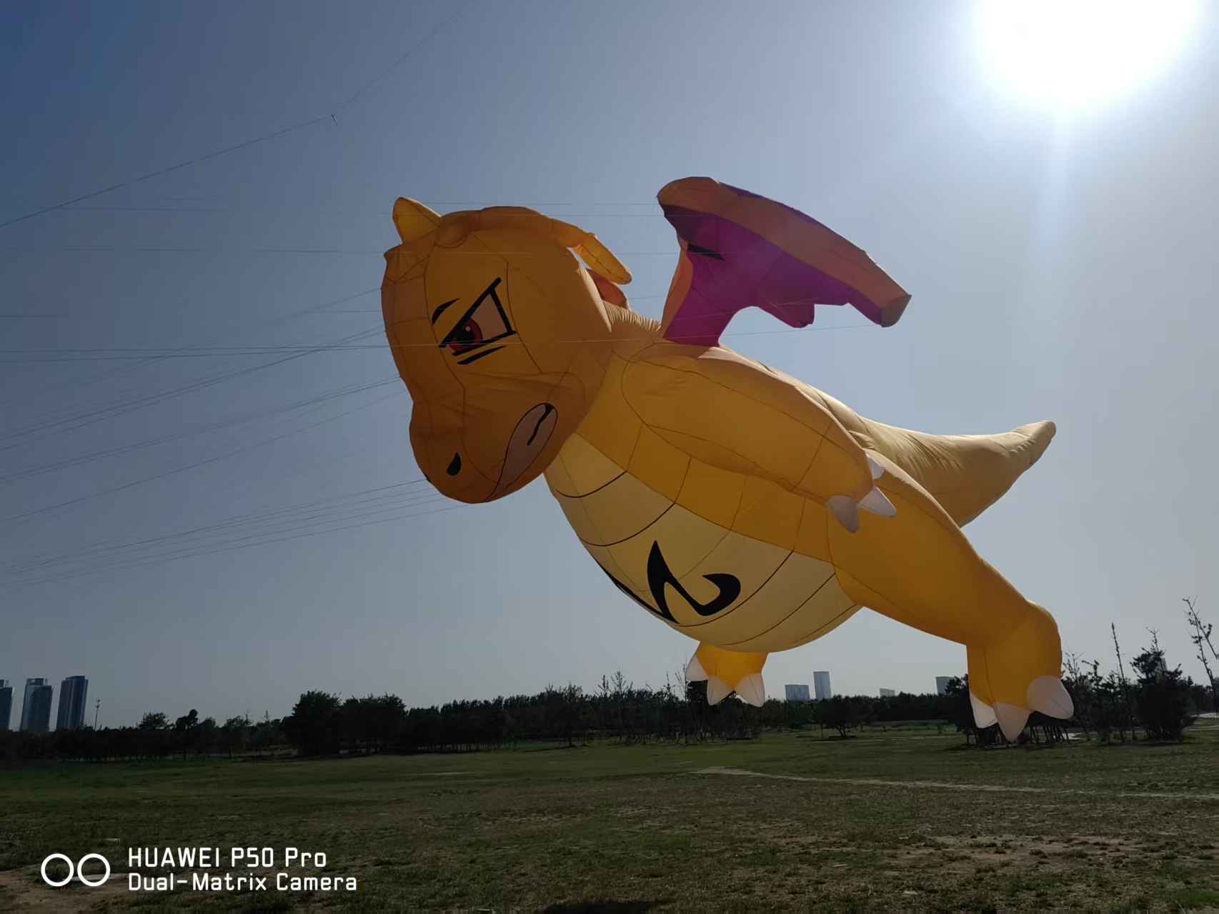 铁岭市软体风筝定制宣传风筝定制 - 方案