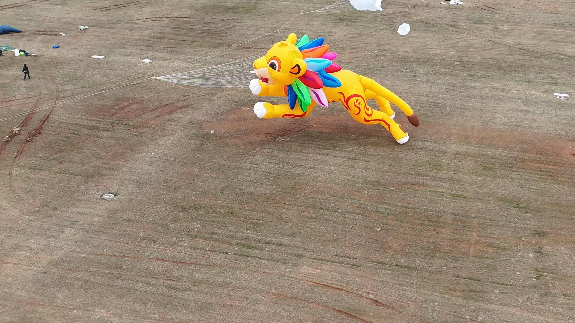 铁岭市品牌风筝定制儿童风筝定制 - 厂家