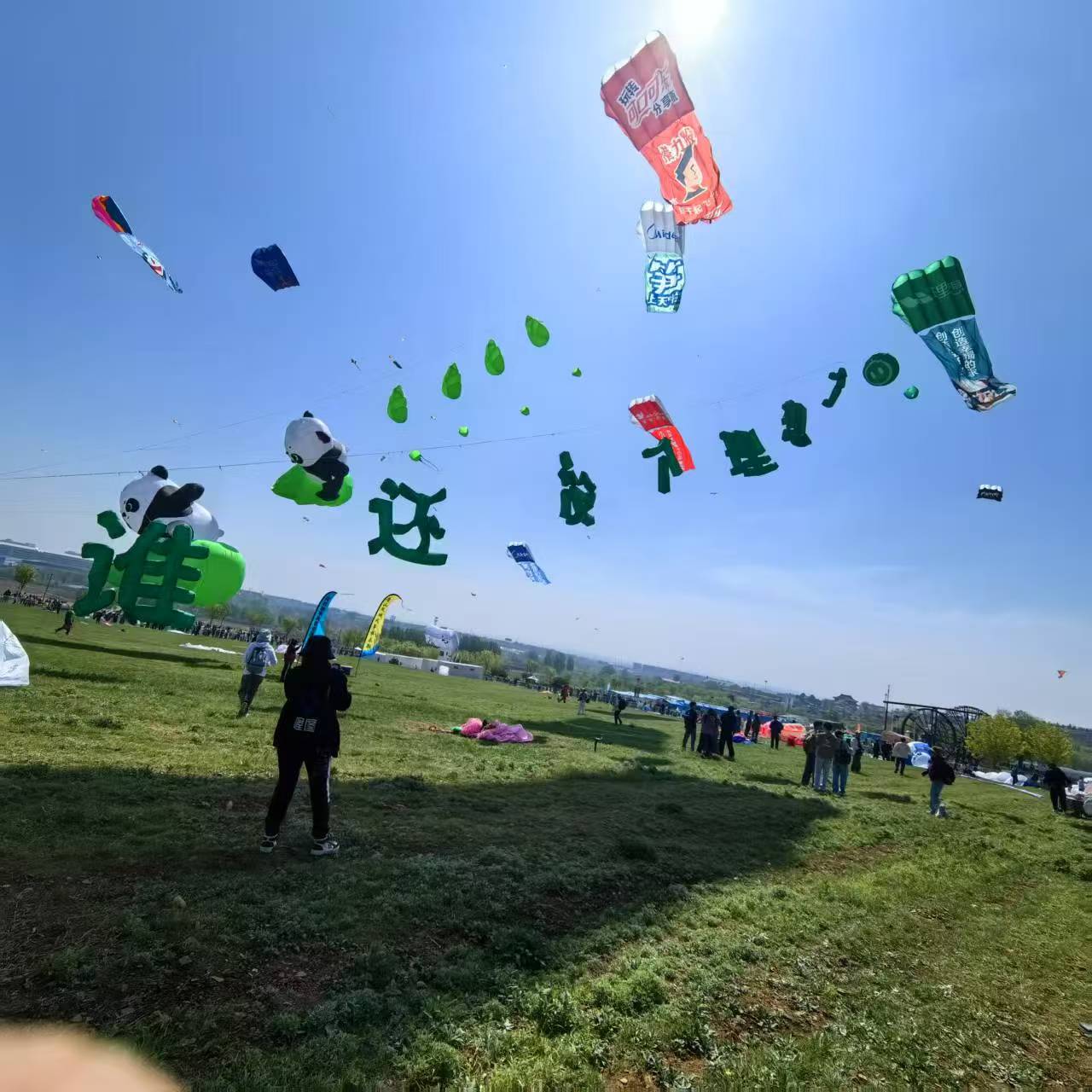 铁岭市儿童风筝定制风筝定制 - 厂家